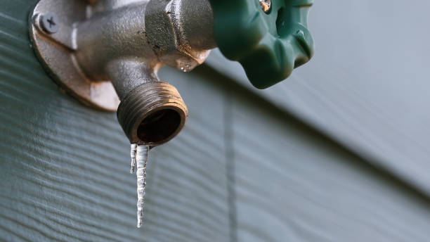 Best Clogged Drain Plumber  in Collegedale, TN
